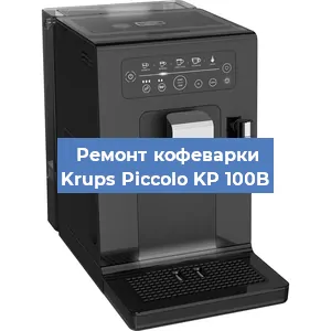 Чистка кофемашины Krups Piccolo KP 100B от накипи в Воронеже